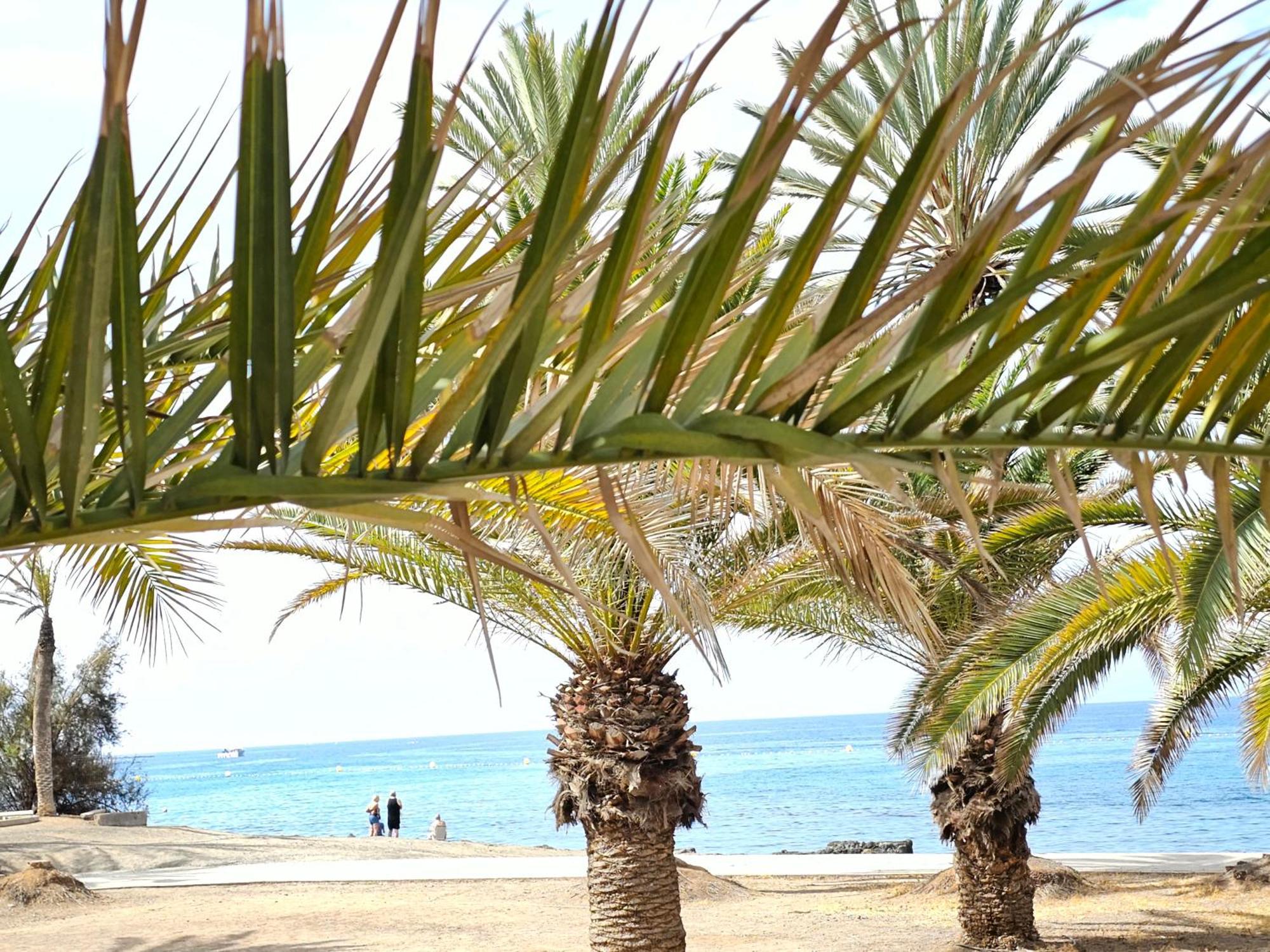 Apartment New Ocean Symphony, Cristianos